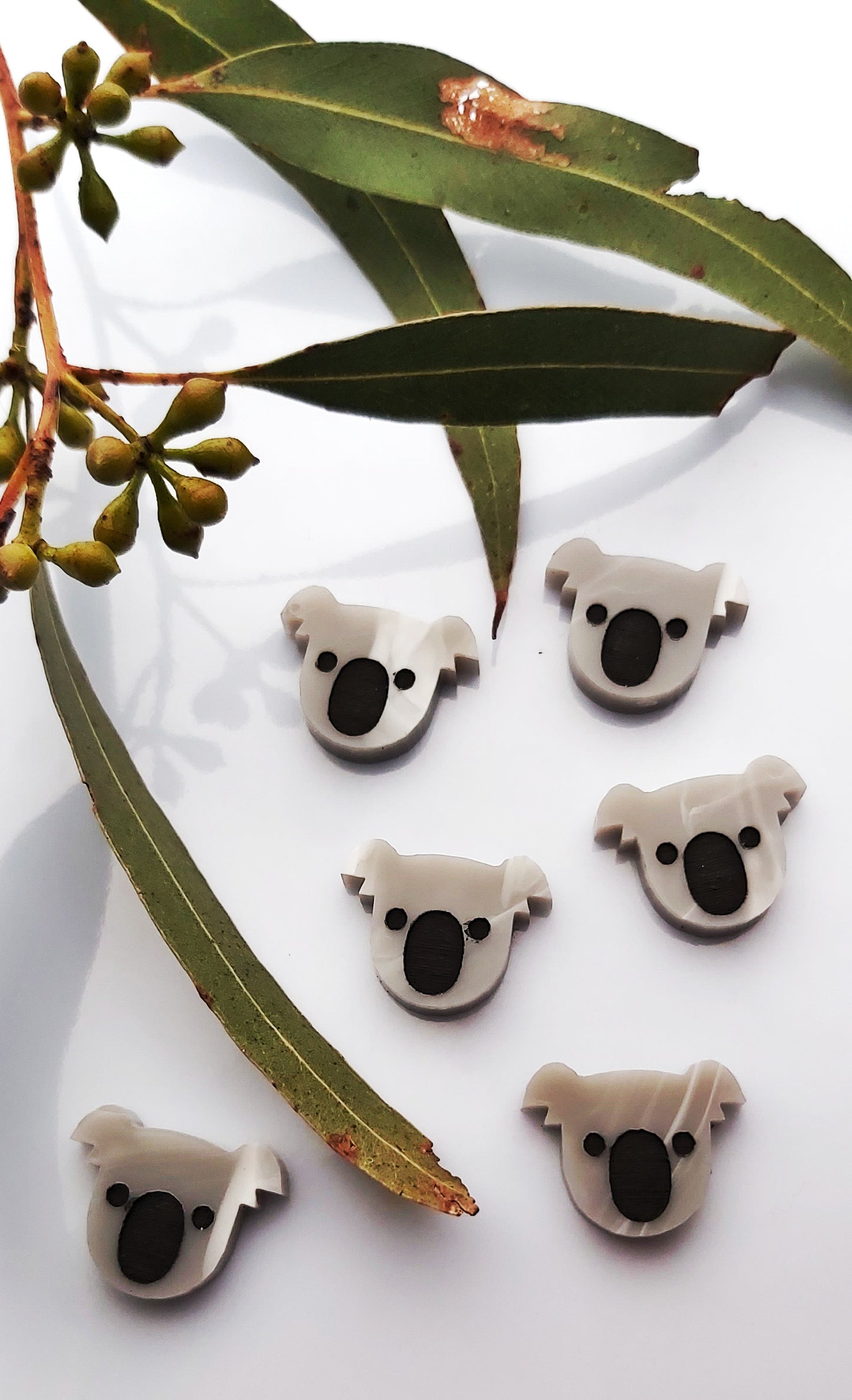 MINI KOALA STUDS